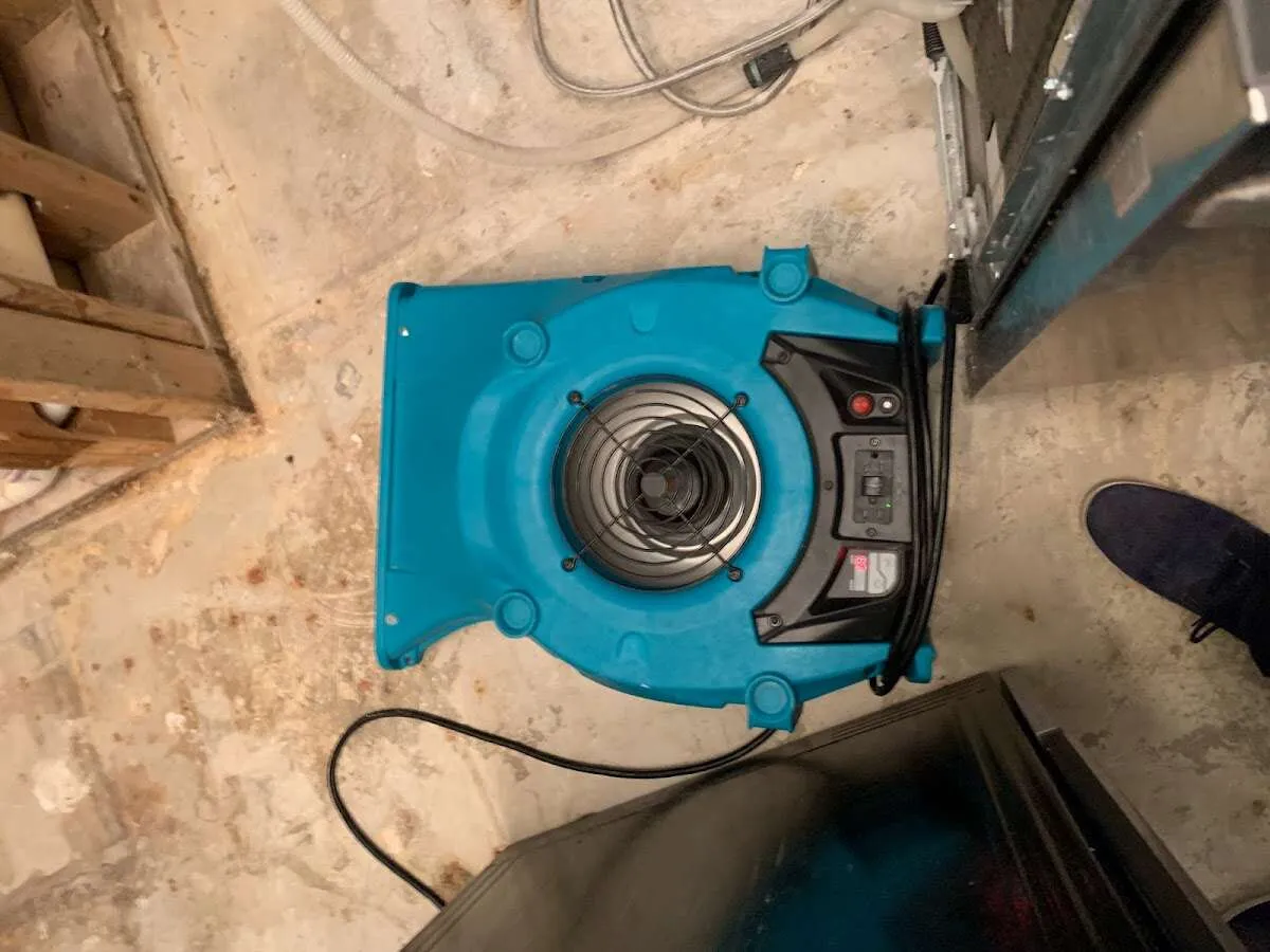 Air mover drying equipment for Mold Remediation & Removal in Haysville